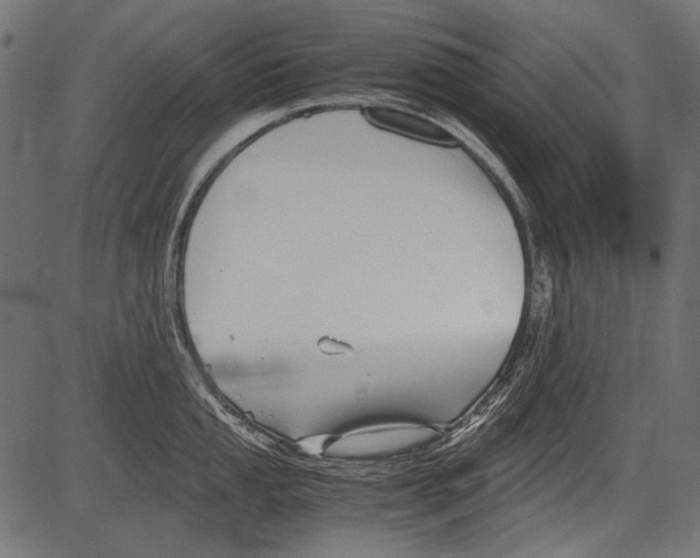 X0000081391053200702020250