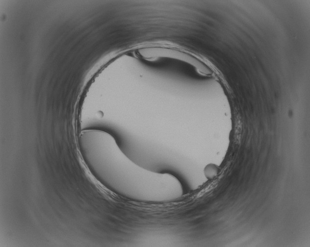 X0000081391054200702020250