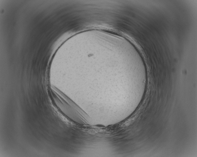 X0000081391056200702020250