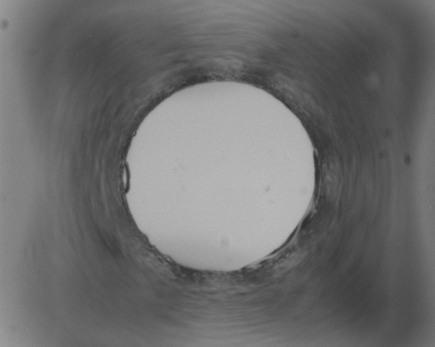 X0000081391057200702020250