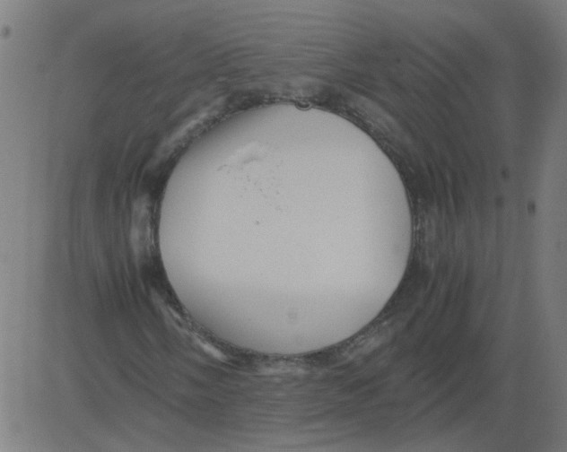 X0000081391058200702020250