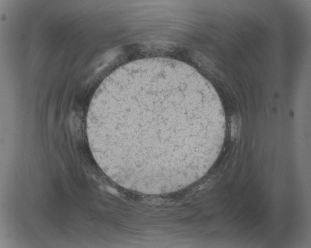 X0000081391059200702020250