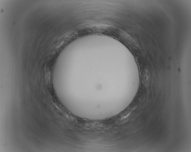 X0000081391061200702020250