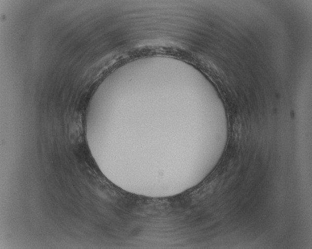 X0000081391062200702020250