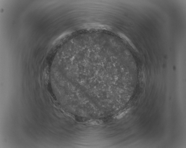 X0000081391063200702020250