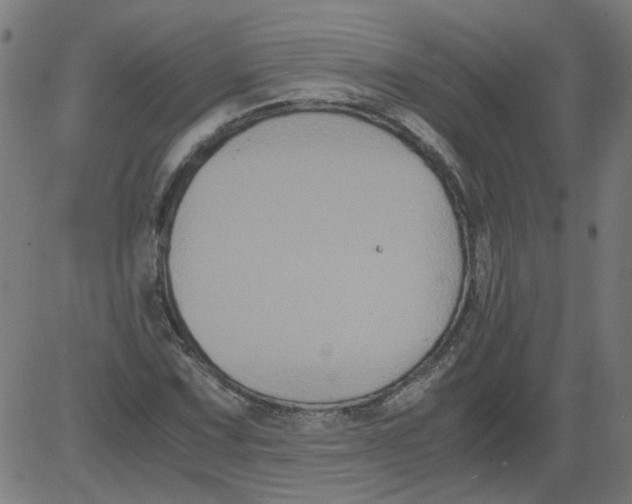 X0000081391067200702020249