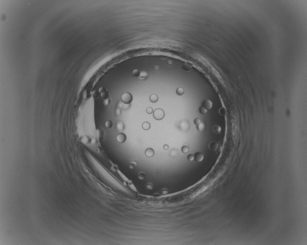 X0000081391069200702020249