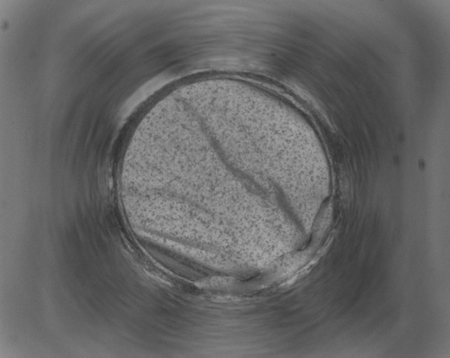 X0000081391070200702020249