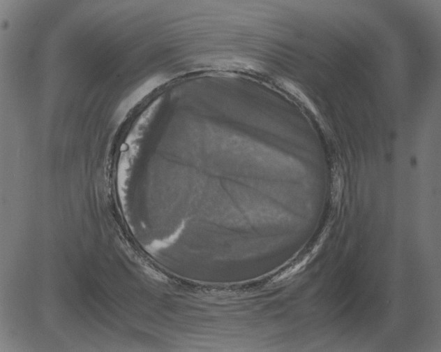 X0000081391071200702020249