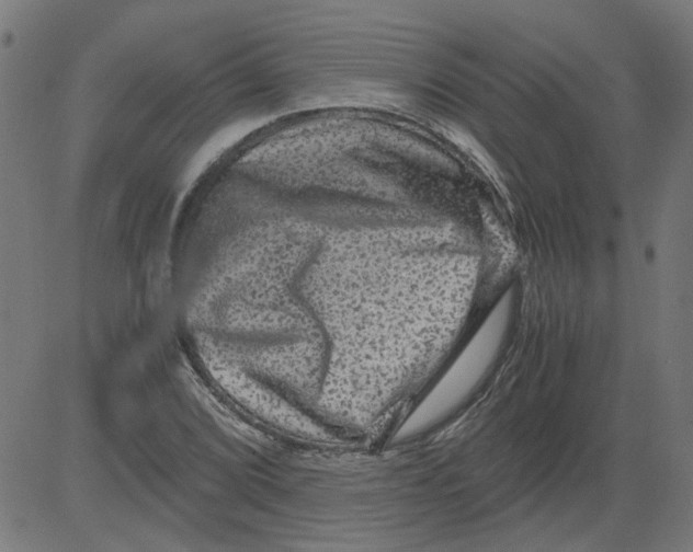 X0000081391072200702020249