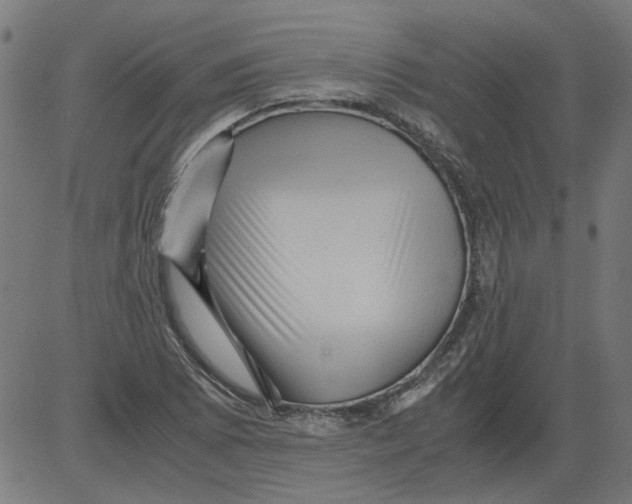 X0000081391073200702020249