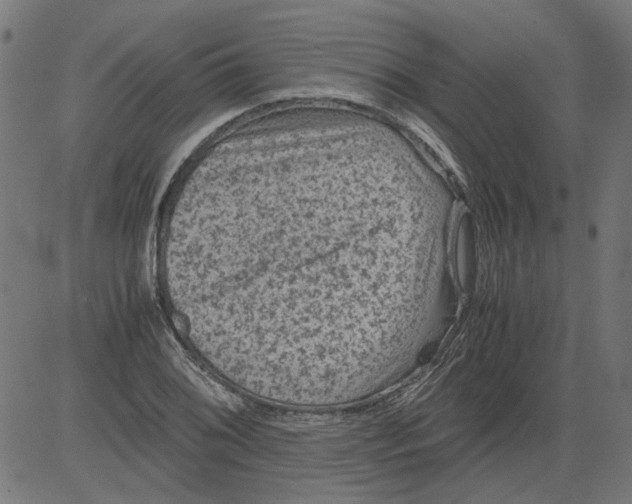 X0000081391076200702020249