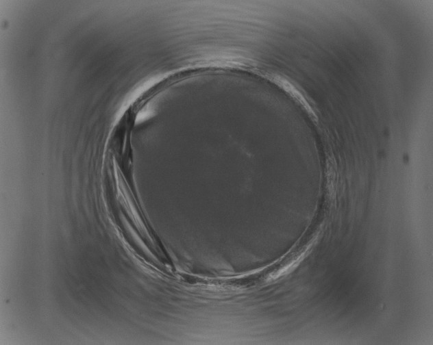 X0000081391077200702020249