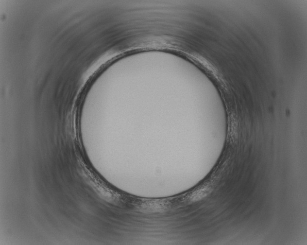 X0000081391078200702020249