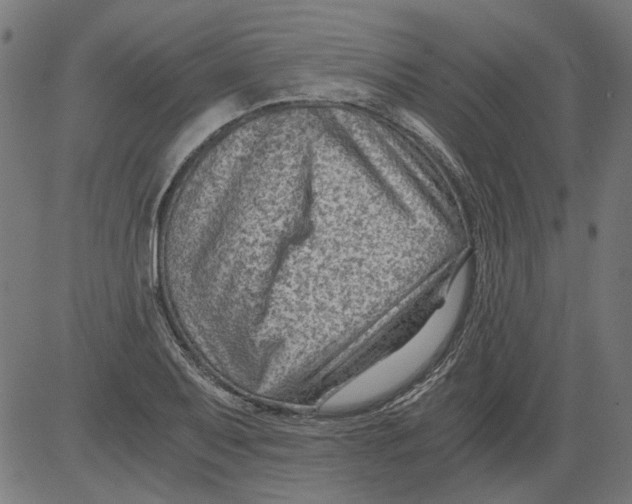 X0000081391079200702020249