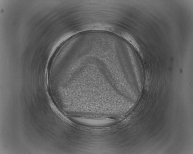 X0000081391080200702020249