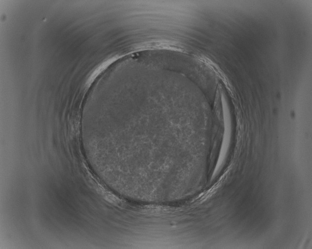 X0000081391081200702020249