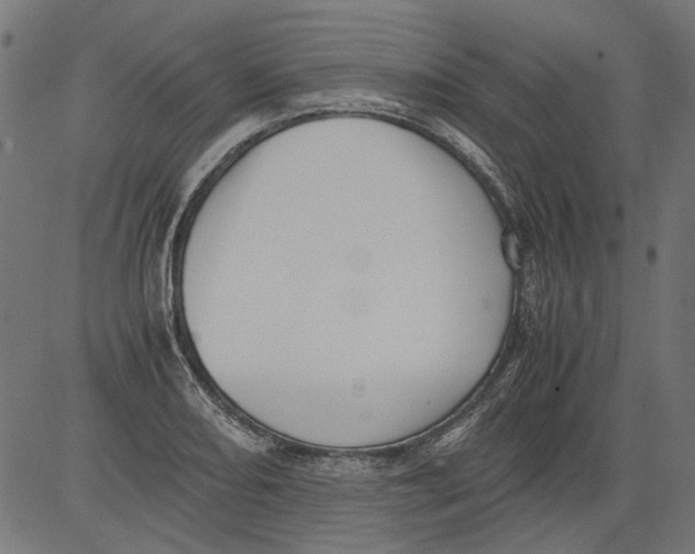 X0000081391082200702020249