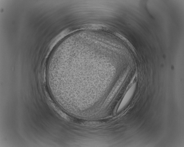 X0000081391083200702020249