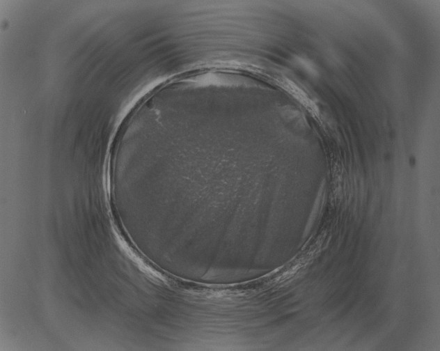 X0000081391084200702020249