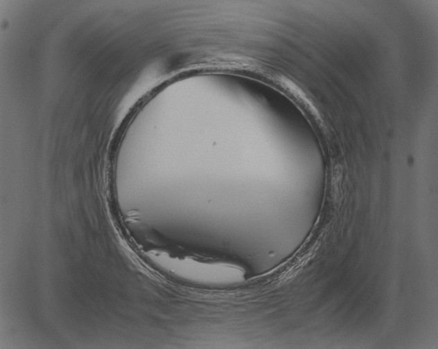 X0000081391085200702020249