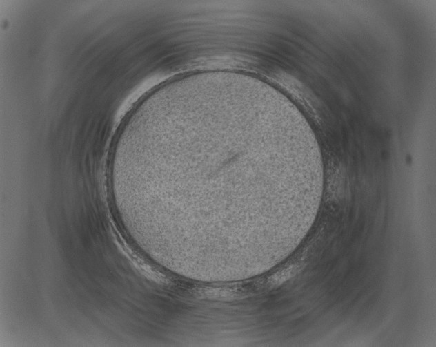 X0000081391086200702020249