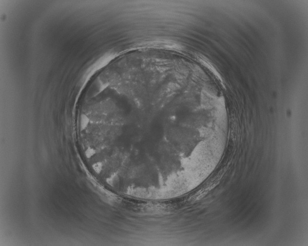 X0000081391087200702020249