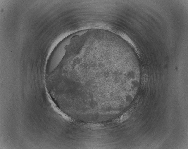 X0000081391088200702020249