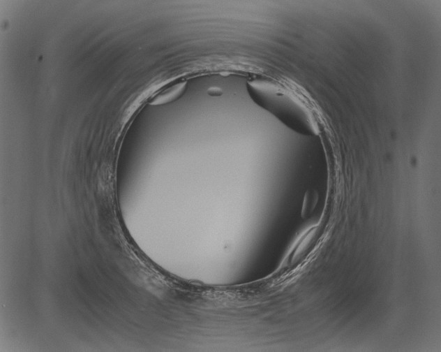 X0000081391089200702020249