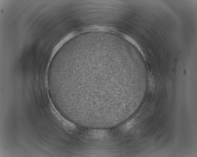 X0000081391090200702020249