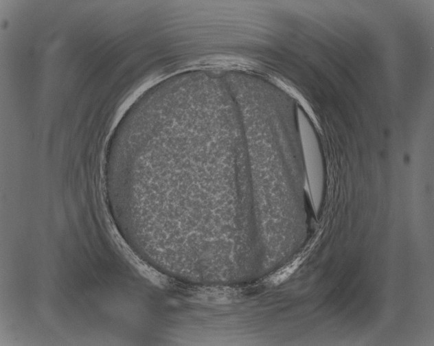 X0000081391091200702020249