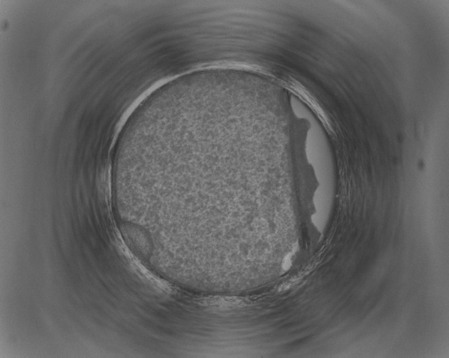 X0000081391092200702020249