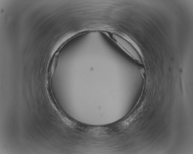 X0000081391093200702020249