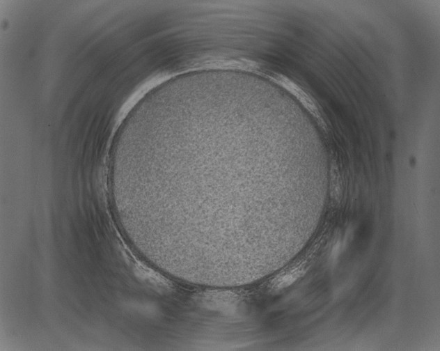 X0000081391094200702020249