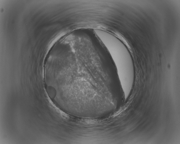 X0000081391095200702020249