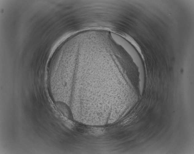 X0000081391096200702020249