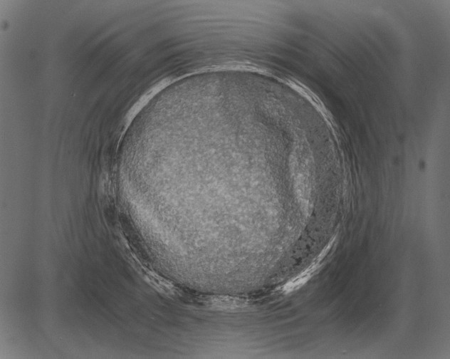 X0000081391097200702020249