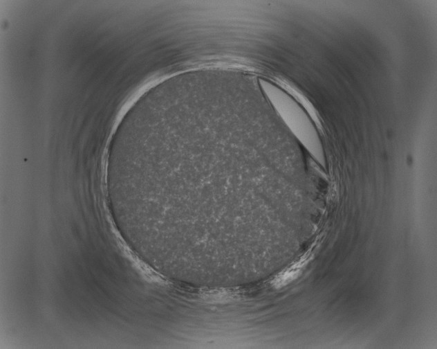 X0000081391099200702020249