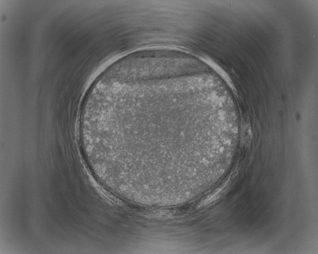 X0000081391101200702020249