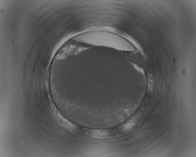 X0000081391102200702020249