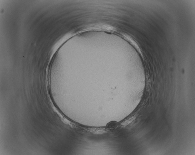 X0000081391103200702020249