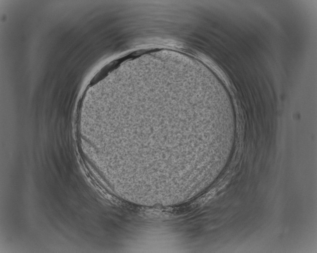 X0000081391104200702020249