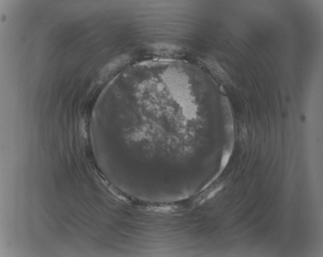 X0000081391106200702020248