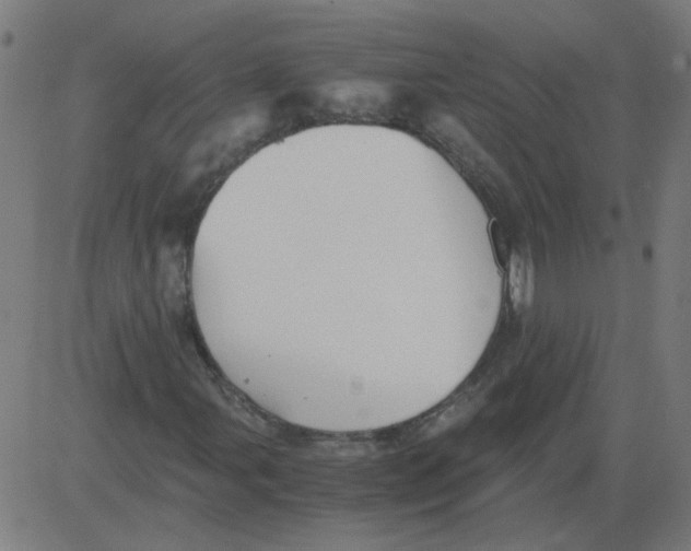 X0000081391107200702020248