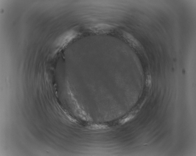 X0000081391108200702020248