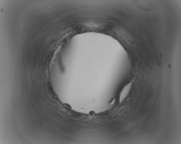 X0000081391109200702020248