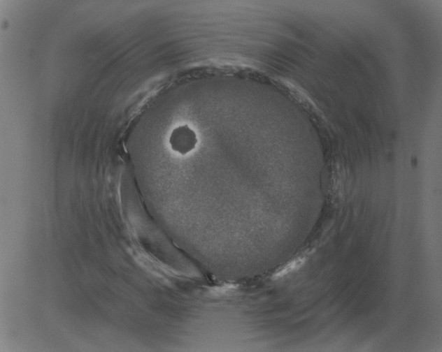 X0000081391110200702020248