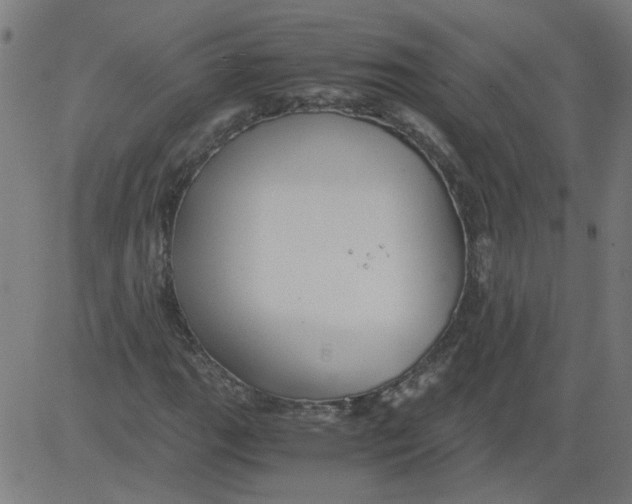 X0000081391111200702020248