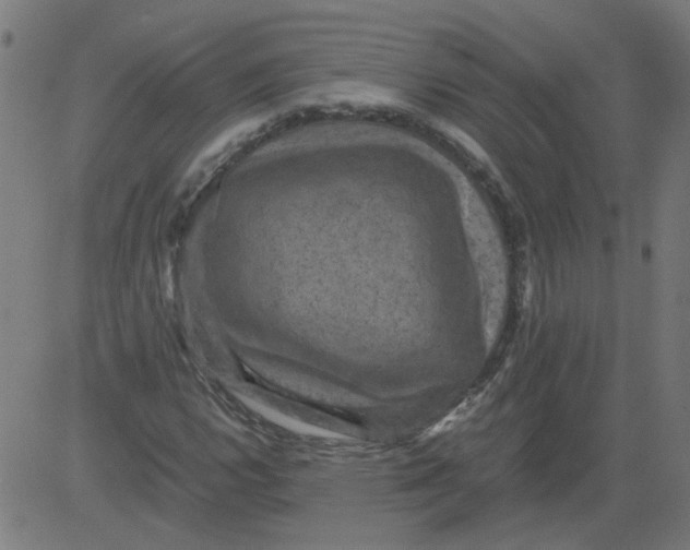 X0000081391112200702020248