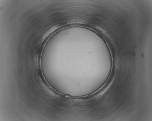 X0000081391113200702020248